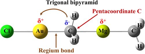 Regium Bonds to Activated Methyl Groups: Transition to Covalent Bond and a Pentacoordinate Carbon Center