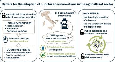 Drivers for the adoption of circular eco-innovations in agriculture: insights from a field experiment on olive growers