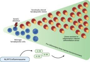 The NLRP3 inflammasome and its role in acute myeloid leukemia onset and development