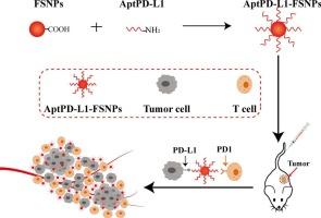 A novel theranostic system of PD-L1-Aptamer-functionalized fluorescent silica nanoparticles for triple-negative breast cancer