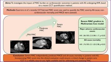 Prognostic significance of severe mitral annular calcification in aortic stenosis: implications for aortic valve replacement outcome
