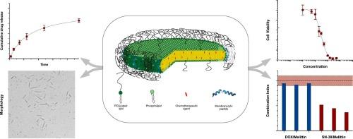Development and in vitro evaluation of lipodisks optimized for co-delivery of chemotherapeutic drugs and membranolytic anticancer peptides