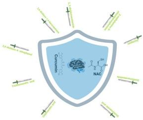 Neurotoxicity and protective strategies of chlorinated drinking water disinfection byproducts