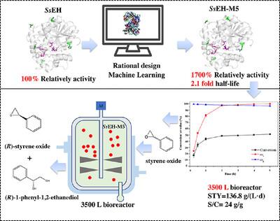 Rational Design of an Epoxide Hydrolase From Spatholobus Suberectus: Enhancing Catalytic Activity and Thermostability for Efficient (R)-Styrene Oxide Production