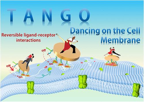 Reversible Ligand–Receptor Interaction-Induced “Tango”-like Dancing of Nanodisks on Living Cell Membrane