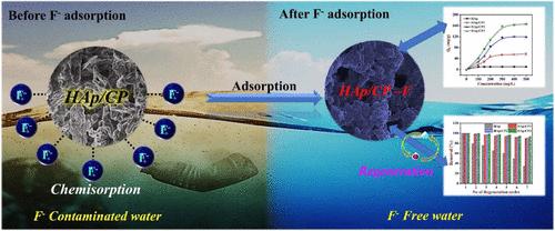 Highly Effective Polyelectrolyte Complex of Chitosan–Pectin/Hydroxyapatite Nanocomposites: A Drastic Enhancement in Fluoride Adsorption
