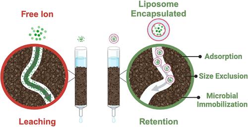 A Liposomal Carrier to Reduce Leaching of Ionic Nutrient Loads in Agricultural Soils