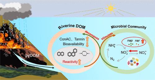 Wildfire-Derived Pyrogenic Dissolved Organic Matter (pyDOM) Enhances Riverine DOM Reactivities and Nitrogen Metabolisms