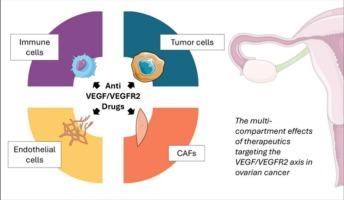 The VEGF/VEGFR2 system in ovarian cancer: From functional to pharmacological significance