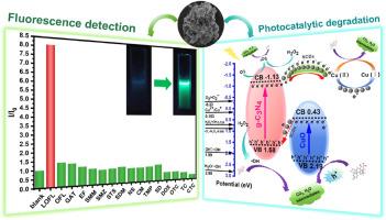 Z-scheme CuO/NCN nanomaterials for rapid fluorescence detection and photocatalytic degradation of levofloxacin