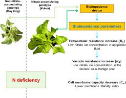 Electrical bioimpedance spectroscopy as a tool for non-destructive monitoring nitrogen supply in two lettuce genotypes