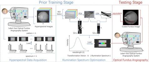Label-free optical fundus angiography based on programmable hyperspectral imaging