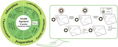 Intelligent stealth andrographolide imprinted drug carrier of poly(2-ethyl-2-oxazoline) with multi-stimuli responsiveness and A549 lung cancer cell cytotoxicity†