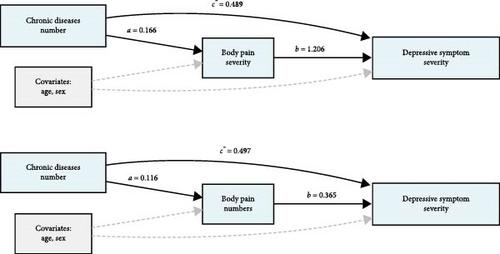 Body Pain and Depressive Symptoms: Patterns and Associations in Middle-Aged and Older Chinese Adults