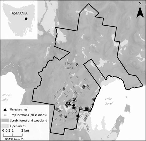 To Breed or Not to Breed? An Examination of Reproductive Success of Translocated Eastern Quolls