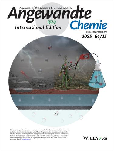 Frontispiece: Stabilizing Lattice Oxygen to Enable Durable MnO2 Electrocatalyst for Simultaneous Acidic Hydrogen Production and Biomass Valorization