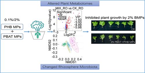 Effects of Biodegradable Microplastics on Soil and Lettuce Health: Rhizosphere Microbiome and Metabolome Responses
