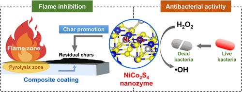 Multifunctional Ni–Co Nanozyme Composite with Synergistic Antibacterial and Flame-Retardant Properties