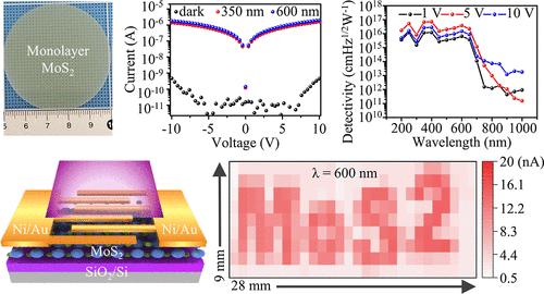 Photodetection Mechanisms and Ultraviolet–Visible Imaging Characteristics of High-Detectivity Broadband Metal–Semiconductor–Metal Photodetector Arrays on Wafer-Scale Monolayer MoS2