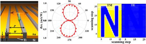 Highly Polarization-Sensitive Narrowband Near-Infrared Photodetection by All-Silicon Embedded Plasmonic Hot Electron Devices