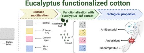 Eucalyptus-Enhanced Cotton: Pretreatment and Bioactive Coating Strategies for the Development of Sustainable Textiles with Antimicrobial and Antioxidant Activities for Skin Applications