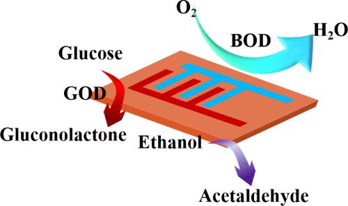 Fully Wearable Devices for Real-Time Health Monitoring and Multimodal Sensing in Nanomedicine Using Multiplexed Green Biofuels