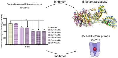 Semicarbazone and thiosemicarbazone derivatives associated with antibiotics inhibit β-lactamases and efflux pumps in Staphylococcus aureus strains