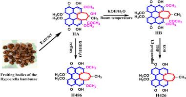 One-step synthesis of hypocrellin derivatives with substituents removed