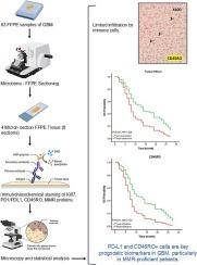 Prognostic significance of PD-L1 and CD45RO+ cells in glioblastoma: The modulating role of MMR status