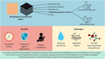 Bioadhesive polymers in transdermal formulations for skin disorders