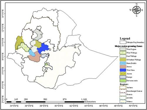 Ear rot diseases in maize (Zea mays L.), associated mycotoxins, and management practices in Ethiopia: A review