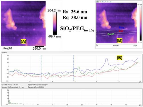 SiO2/PEG Sol–Gel Hybrid Systems: Study of Morphological Features