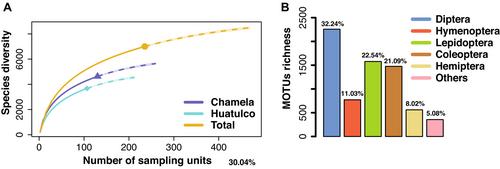 Drivers of Insect Diversity and Community Turnover in Protected Tropical Deciduous Forests of Mexico