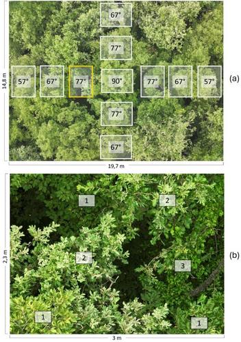 Standardised Drone Procedures for Phytosociological Data Collection