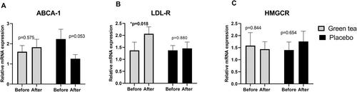 The Effect of Green Tea Beverage on Blood Cardiometabolic Risk Biomarkers in Dyslipidemia Subjects