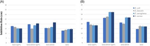 Controlled Release and Antibacterial Properties of Quercetin-Loaded Silica Hybrids for Drug Delivery