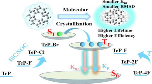 Theoretical Insights into Halogen Substitution Effects on Room Temperature Phosphorescence in Twisted Halogenated Tetraphenylene Derivatives