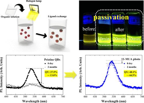 Enhanced Quantum Yield and Long-Term Stability of Eco-Friendly Water-Dispersed InP/ZnSe/ZnS Quantum Dots via Photochemical Surface Passivation