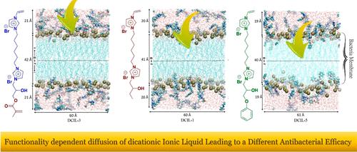Understanding Experimentally Compatible Bactericidal Activity of Dicationic Ionic Liquids: A Mechanistic Insight into the Effect of Functional Groups by MD Simulations