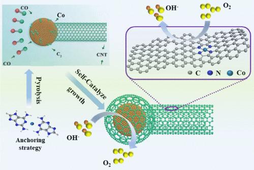 Self-Catalyzed Carbon Nanotubes with Dual-Active-Site Co/CoN4 Motifs for High-Efficiency Bifunctional Oxygen Electrocatalysis