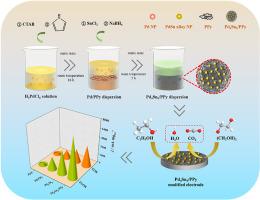 Facile synthesis of granular polypyrrole supported PdSn alloy nanoparticles for efficient electrocatalytic oxidation of alcohols