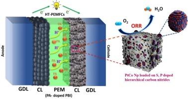 Catalytic synergy of PtCo alloy nanoparticles anchored on S, P-doped hierarchical carbon nitrides for efficient and durable oxygen reduction in high-temperature PEMFCs