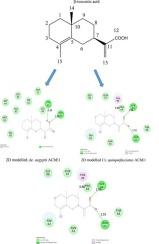 In silico molecular docking analysis on acetylcholinesterase (AChE) inhibition activity on Aedes aegypti and Culex quinquefasciatus by β-isocostic acid