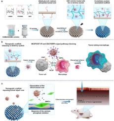 Activation of bone tumor-eating macrophages via assembling and co-delivering 3D printed scaffold