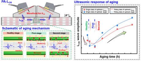 Ultrasonic evaluation of early-stage hygrothermal aging damage for anisotropic composites based on PA-LCR technology