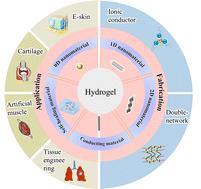 From nature to nanotechnology: the synergistic integration of biomimetic nanomaterials and conductive hydrogels for next-generation applications