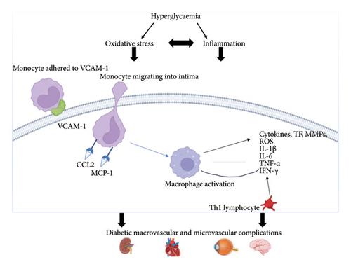 Unveiling VCAM-1’s Multifaceted Role in Secondary Diabetic Complications