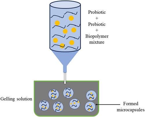 Co-Encapsulation of Probiotics and Prebiotics: Techniques and Applications in Food Fortification