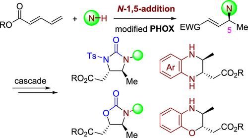 Asymmetric N-1,5-Addition and Cascade: Facile Route to Various N-Heterocycles