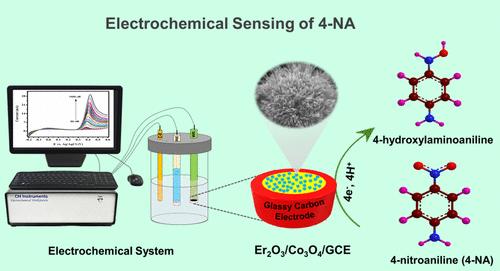 Hydrothermally Synthesized Erbium Oxide/Cobalt Oxide Nanoflowers for Electrochemical Sensing of 4-Nitroaniline in Environmental Samples